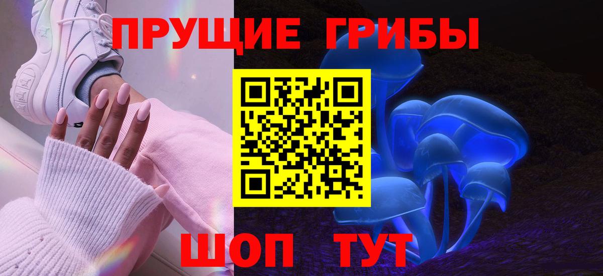 Пугачёв  Псилоцибиновые грибы прущие грибы  Вход с VPN 